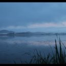 우포늪 광장 이미지