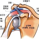 백세마취통증의학과의원 이미지