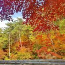 경상북도산림생태과학원 이미지