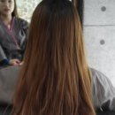 천연퀀즈헤나
