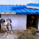 순덕농장 이미지