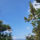 지리산둘레길 5코스 동강-수철 구간, 쉼터도 있고 가을 들국화 꽃길이 반겨주는 지리산둘레길 쉬운 코스.