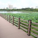 수원-1044 이미지