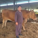 한우사육사 이미지