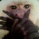 봉동짬뽕 이미지