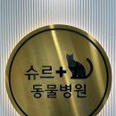 봄앤동물병원