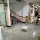 하양유치원 이미지