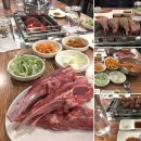 호가양꼬치