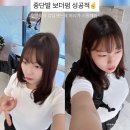 라브리 헤어 서초교대점 | 서초동 미용실 여름 중단발 C컬펌 라브리 헤어 서초교대점 손질편한 보더펌 후기