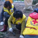 안막2구 이미지