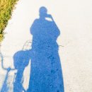 달서천 자전거대여소 이미지