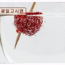 광일고시원