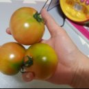 아영농장 이미지