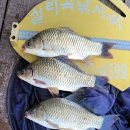 실리곡낚시터 이미지