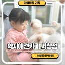 약지애견카페 서창점 이미지