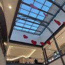 그린탕 | 일산 키즈카페 겸 아기수영장 물노리베이비 이용후기