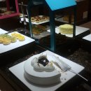 오션파라다이스 이미지