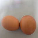 신이난닭