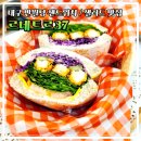 르네트르37 이미지
