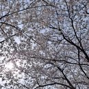 양평밸리관광펜션 이미지