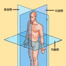 산성PT뉴에스짐 이미지