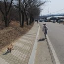 문양역5길 | 대구 애견카페 야외애견카페 다사애견카페 문양 동그라운드 솔직후기:)
