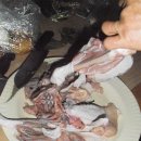 선우민박 이미지