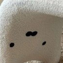 네일푸르미르