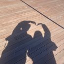 동해세탁백화점 | 25.10 두번째로 맞는 가을 신혼일기🍂🍁 순삭 한 달 기록 :: 남편생일/명절/여행