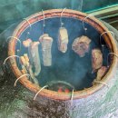 (마감)6월 6 ~ 7일 (금토) 초여름 소풍을 겸해 양평으로 1박2일 떠나요! (인원 늘려요 ㅋ) 이미지