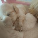 연수동 610-4 이미지