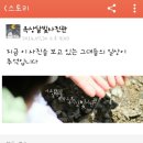 사진관옥상달빛 이미지