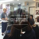 브니엘 헤어 - 성북구 | 브니엘 헤어