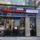 워시테리아석남점