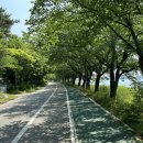 영랑호수공원 | 속초여행 속초가볼만한곳 속초산책하기좋은곳 영랑호수공원