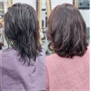 모든이헤어샵 - 중구 | 공덕헤어샵 후기, 펌 없이 레이어드컷만으로 정리한 이유