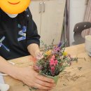 루리앤라라