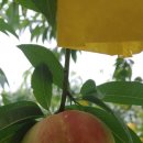 와현농장 이미지