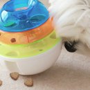 댕댕스낵 이미지