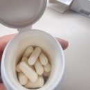 돈이야기 | [리뷰] 덴프스 덴마크 유산균 이야기 내 돈 내산 후기