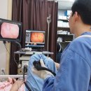 위편안내과의원 이미지