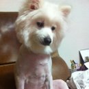 모락한의원 이미지