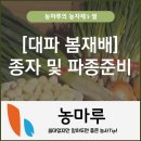 [대파 봄재배] 종자 준비 및 파종준비하기