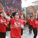 종합란제리 이미지