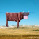 송내대로 388 이미지