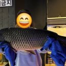 놀이터실내낚시카페 이미지