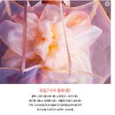 경식청과 | 영등포청과물시장 예단과일 추천 경식이네 내돈내산 후기!!