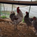 청계2길 이미지