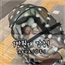 리안상점 | 다이소에 없어 구매했어요, 1만원 대 유모차 모기장 후기