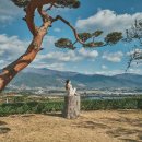 노고마주 이미지